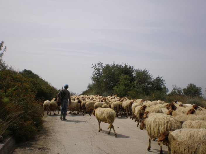 sicile 2008 103.jpg